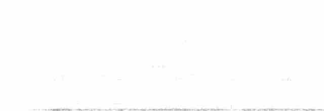 Spotless Crake - ML608717056