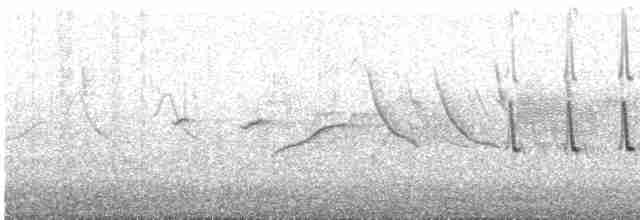 Long-tailed Meadowlark - ML608719002