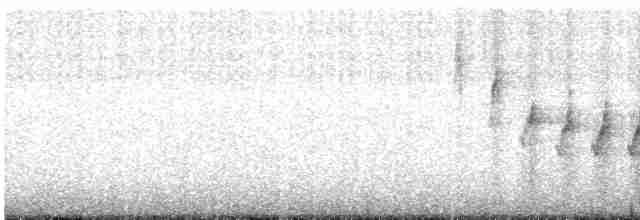 Gray-crowned Yellowthroat - ML608731189