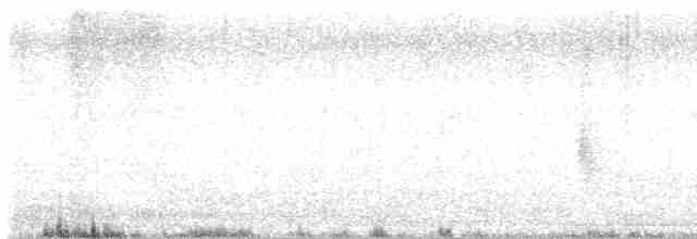 snovač černohlavý - ML608737888