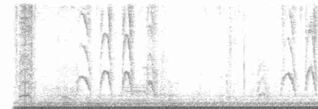 アシナガウミツバメ - ML608744756