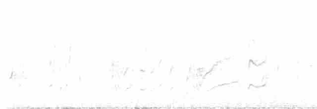 hvitbrynsvalestær - ML608749873