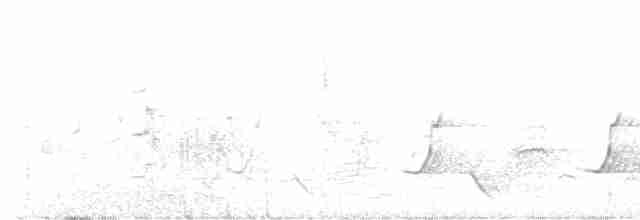 Gilbert's Whistler - ML608750015
