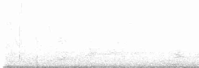 Gray Wagtail - ML608751903