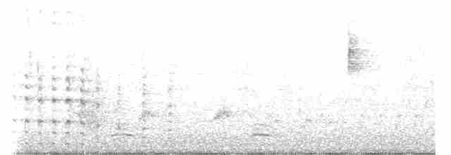 Spotless Crake - ML608753128
