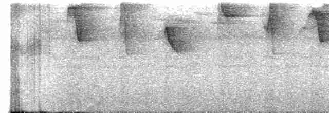 Пестрогорлый колибри-отшельник - ML608763930