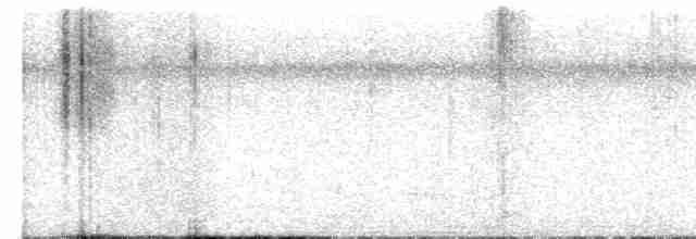 Kara Karınlı Çıtkuşu - ML608766654