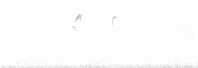 Gebirgsmeise - ML608766911