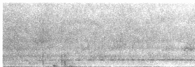Streifenbrust-Ameisendrossel - ML608766927