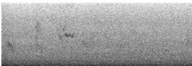 Riesenschwalbenstar - ML608770303