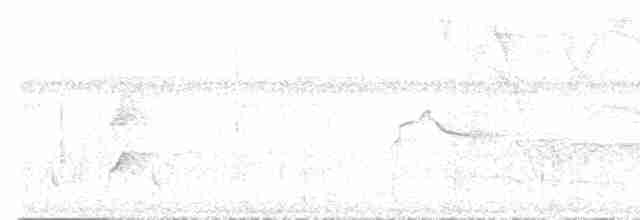 Cinereous Tinamou - ML608772588