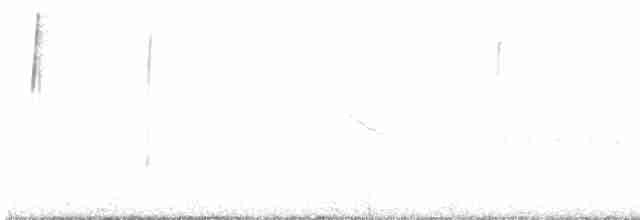Gray-hooded Sierra Finch (gayi/caniceps) - ML608777497