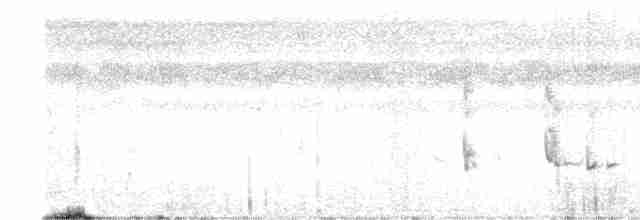 Перепелиця чубата [група leucopogon] - ML608777607