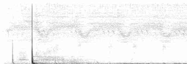 tanımsız yelve/sukılavuzu (Rallidae sp.) - ML608779603
