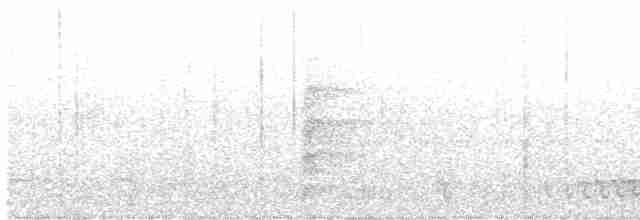 Черногорлый скрытоклюв - ML608782194