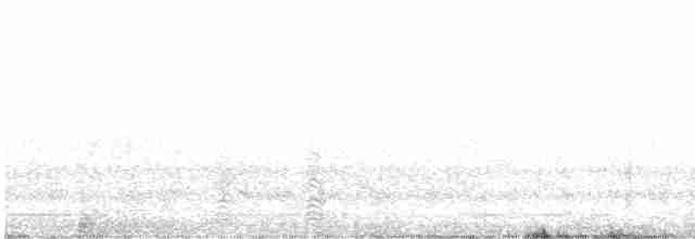 Ibis à face blanche - ML608782279