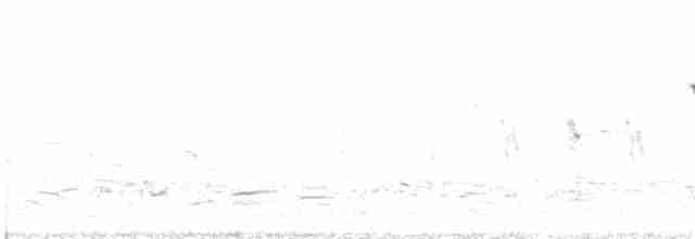 Chingolo de Baird - ML608787522