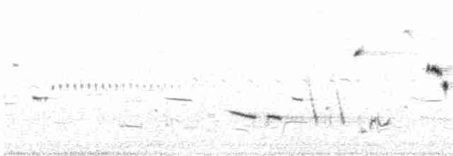 Прерийная овсянка-барсучок - ML608787524