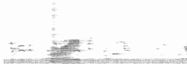 potápka bělouchá - ML608788957