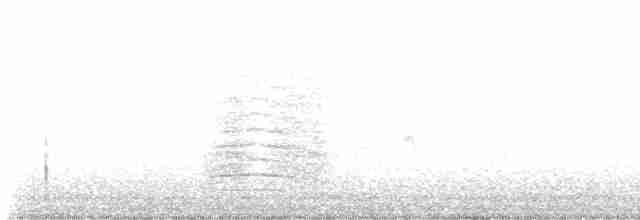 Пересмішник сірий - ML608792569