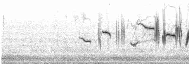 Африканский черноголовый чекан [группа torquatus] - ML608794275