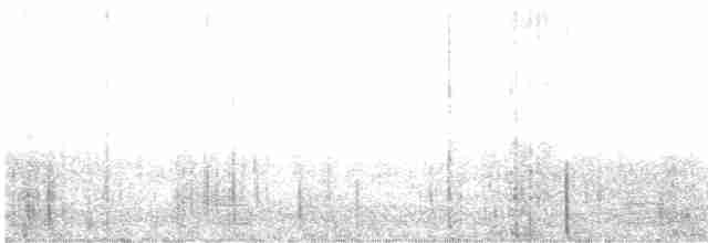 Белохвостая куропатка - ML608800164