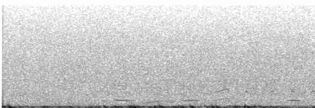 Белохвостая куропатка - ML608800165