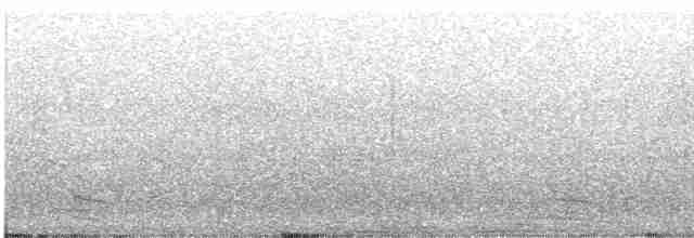 Белохвостая куропатка - ML608800166