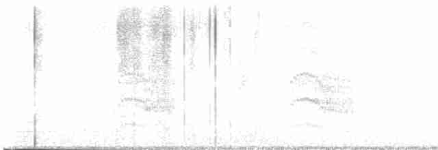 Common Tern - ML608804801