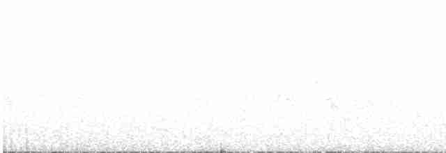 Chevêchette naine (gnoma) - ML608805912