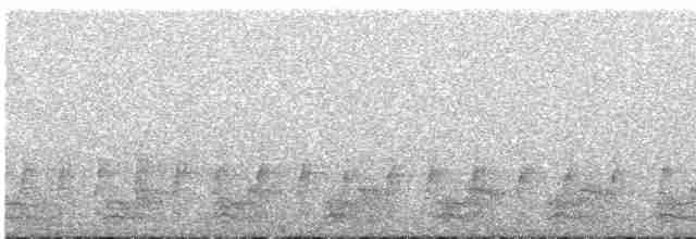 fagertrogon (ambiguus gr.) - ML608807284