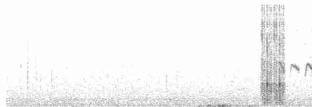 White-browed Bushchat - ML608813691