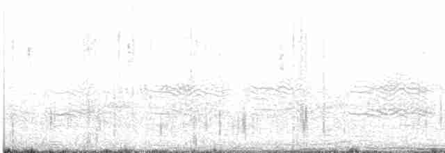 Large Gray Babbler - ML608814316