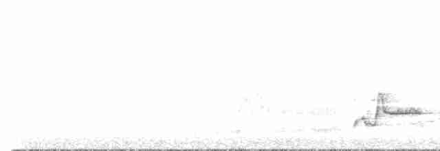 Tasmanerddrossel - ML608814625
