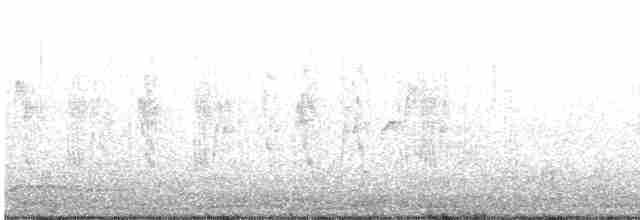 Патагонский мухолов - ML608817882