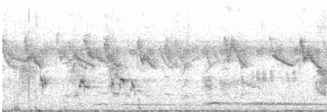 Амурская райская мухоловка - ML608819380