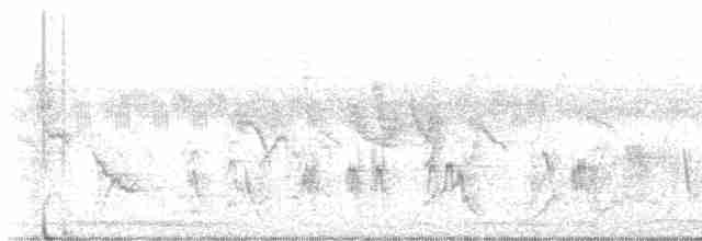 Амурская райская мухоловка - ML608819381
