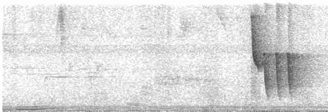 Gray-breasted Wood-Wren (Choco) - ML608824301