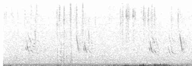 Большая ласточка (hesperia) - ML608830456