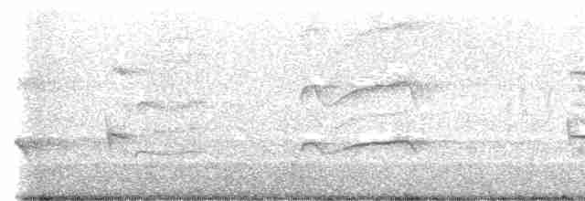 Fischadler (carolinensis) - ML608837096