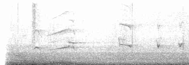 Fischadler (carolinensis) - ML608837115