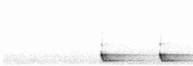 Langschwanz-Nachtschwalbe - ML608841278