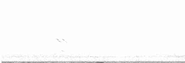 Шилоклювый дятел (auratus/luteus) - ML608843817