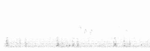 Белохвостая куропатка - ML608844824