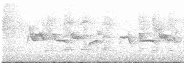 Graumantel-Brillenvogel - ML608845686