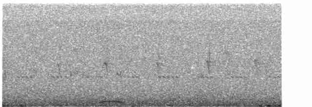 Пугач капський (підвид capensis) - ML608846544