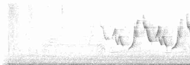 Common Yellowthroat - ML608848169