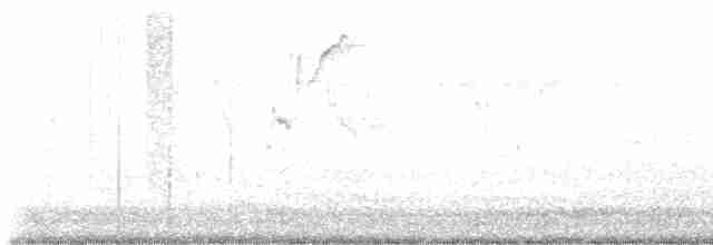 Калифорнийская кукушка-подорожник - ML608848216
