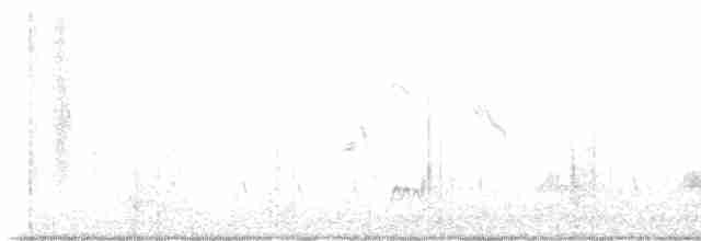 Brown-crested Flycatcher - ML608848267