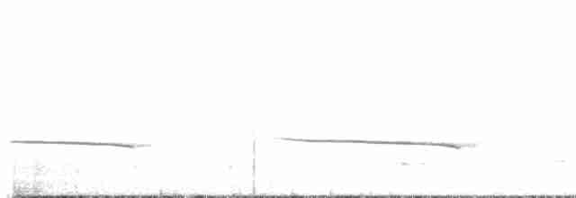 Black-eared Cuckoo - ML608848788